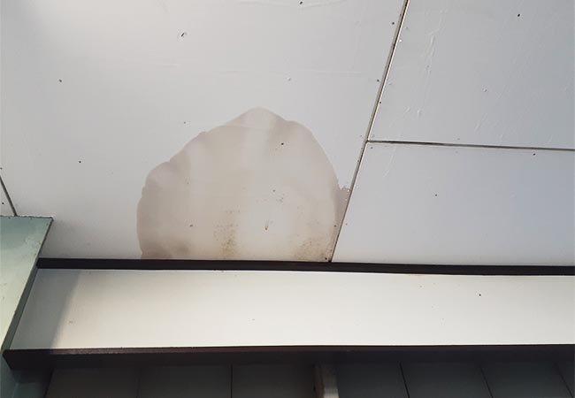 雨漏り